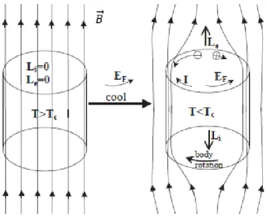 Fig 2.3: Un cilindro nello stato normale è rareddato in presenza di un campo magnetico ~ B 