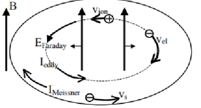 Fig 2.4: Ragurazione dei moti delle cariche di entrambi i segni se seguissero la forza esercitata dal campo elettrico indotto