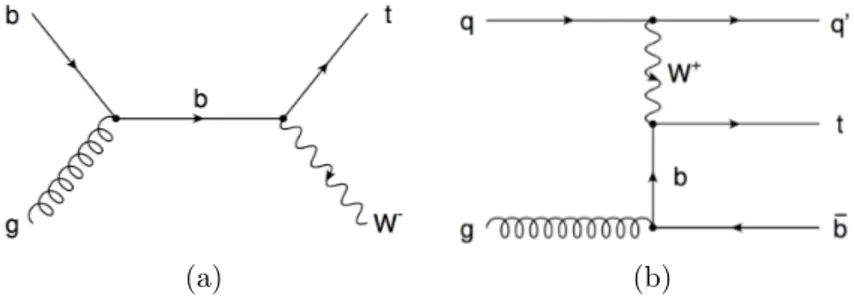 Figure 1.3: Feynman diagrams for the single top quark tW (a) and t-channel (b) pro- pro-cesses.