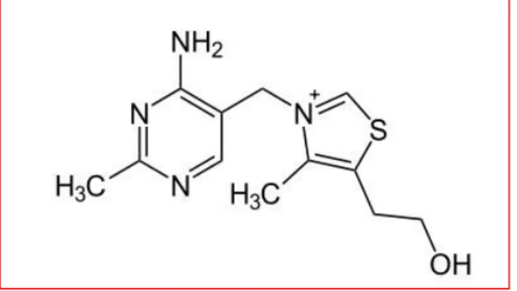 Figura 1.5 Vitamina B1 o Tiamina 