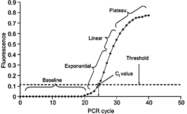 Figura 5. Real-time PCR plot (Popping et al., 2010). 