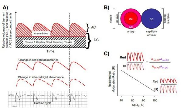 Figura 1.3: In gura [ 4 ] sono riportati vari aspetti fondamentali alla base della misura di un pulsossimetro