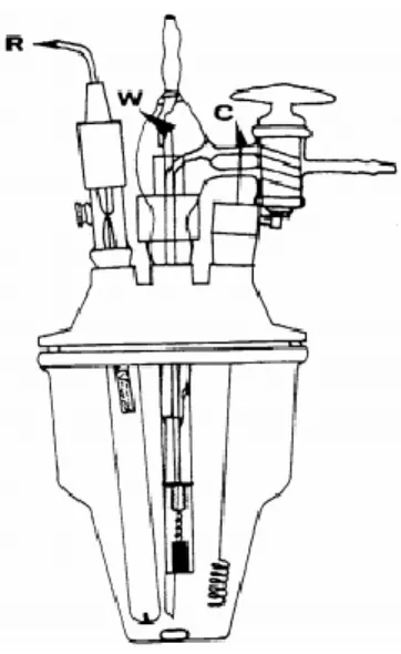 Figura 12 Raffigurazione schematica di un OECT all’interno della cella elettrochimica 