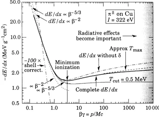 Figure 1.2: The linear stopping power divided by the density ρ of the medium (in unit of MeV cm 2 g −1 ) in function of β γ of the particle.