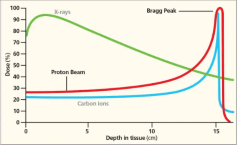 Figure 1.3: A typical Bragg Curve for protons (in red) and for Carbon ions (in blue). In green is reported the energy loss of X-rays in the medium, for take a first comparison between the use of radiotherapy and hadrontherapy for treating cancer.