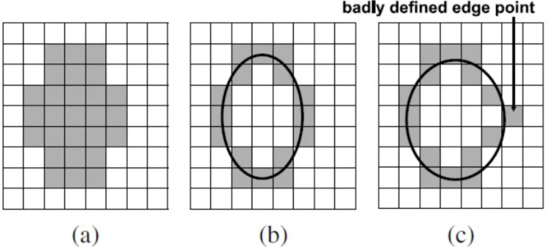 Figura 5.2: (a) immagine in input, (b) curva adattata in caso di una buona localizzazione dell’edge per i pixel, (c) in caso di una grossolana localizzazione dell’edge.