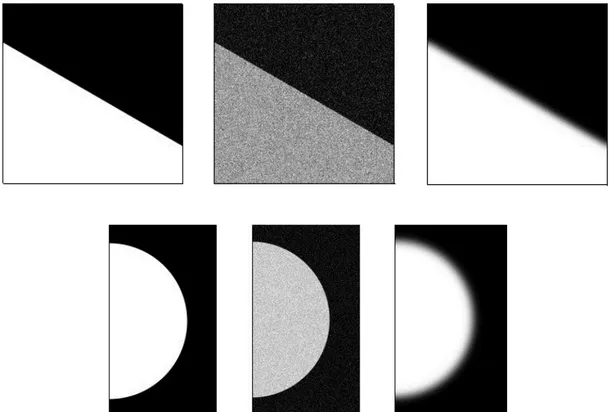 Figura 1.1: Da sinistra a destra: Immagine ideale, affetta da rumore, da sfuocamento