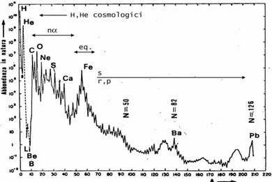 Figura 2.9: Curva delle abbondanze solari con indicati i relativi principali processi di nucleosintesi