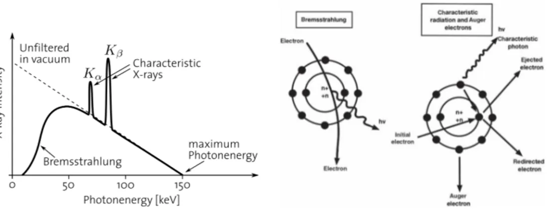 Figura 1.4: A sinistra lo spettro energetico dei raggi X, mentre a destra lo schema del processo di produzione dei raggi X: radiazione di frenamento (sx) e radiazione caratteristica (dx).