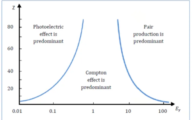 Figura 1.5: I domini dell’effetto fotoelettrico, Compton e della produzione di coppie.