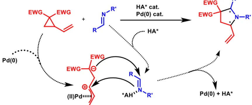 Figure 8: Synergistic mechanism of a Pd(0) and a chiral phosphoric acid/triflamide catalysing  polysubstituted pyrrolidine synthesis from a VCP and an imine