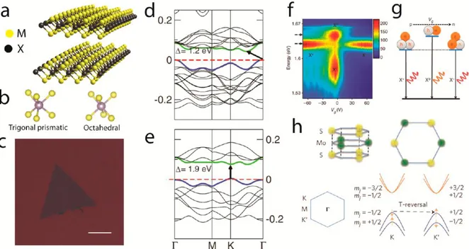 Figure 2.1: Physical properties of layered semiconducting transition metal dichalcogenides (TMDCs)