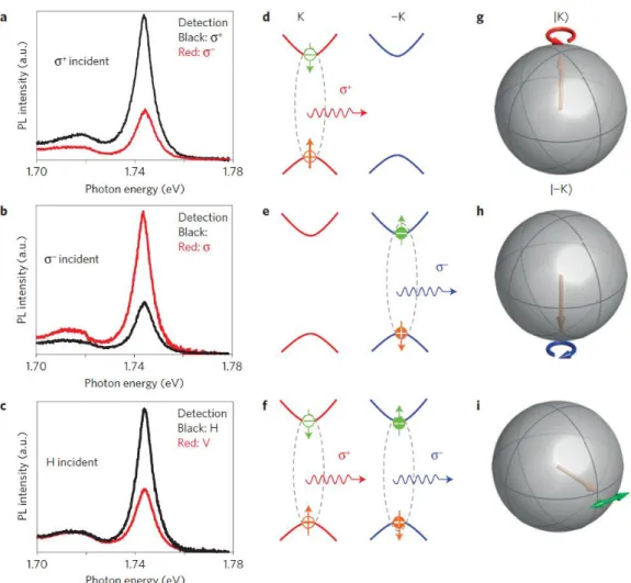 Figure 2.13: Eects of valley polarization and valley coherence on the photoluminescence of a W Se 2