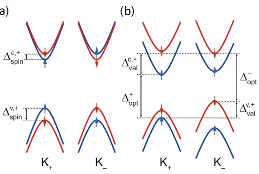 Figure 2.14: Schematic band structure at two valleys of monolayer MX 2 without (a) and with (b) a