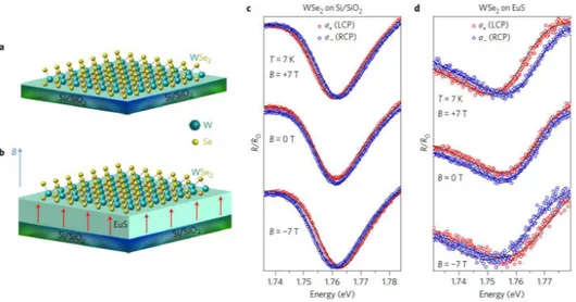 Figure 2.16: Schematic depiction of a WSe2 monolayer on Si/SiO 2 substrates (a) and on a ferromag-