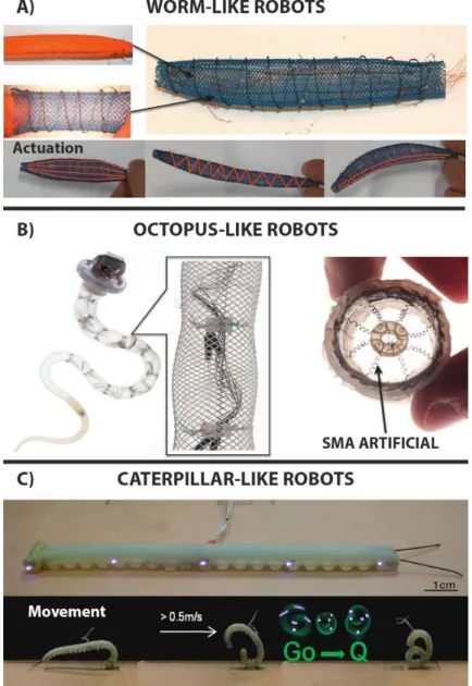 Figure 1.5.1: Animal-inspired soft robots.  A) Meshworm: structure and actuation modes 152 