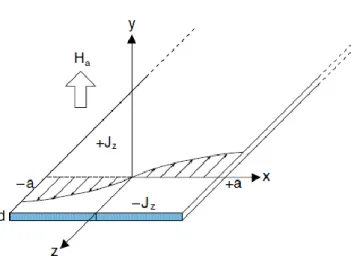 Figura 3.5: Geometria inserita nei modelli costruiti su Comsol Multiphysics® [10] 