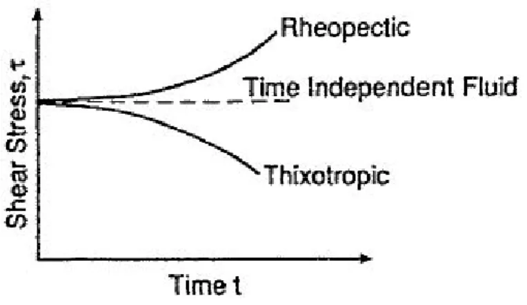 Figura 1.7: Andamento tipico nel tempo dei fluidi non Newtoniani tempo