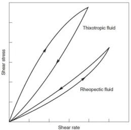 Figura 1.8: Esempio di dipendenza dal tempo dello stress di taglio [6]