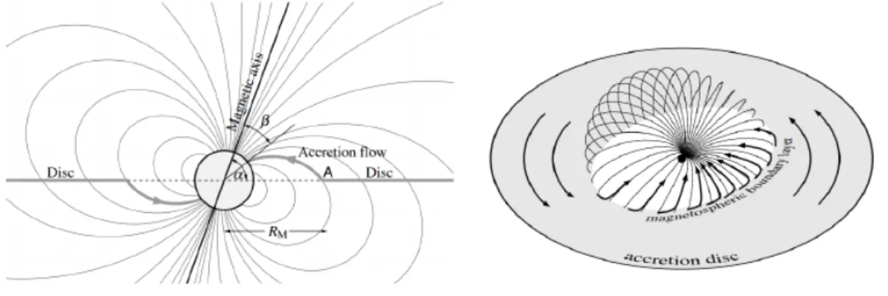 Figura 3.2: Accrescimento in presenza di campo magnetico: a raggio R m il gas uisce nei poli attraverso le linee di