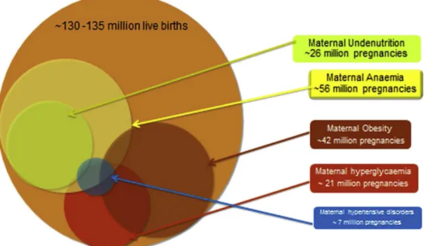 Figure 1.1: Global estimates of common NCDs affecting pregnancy [9]