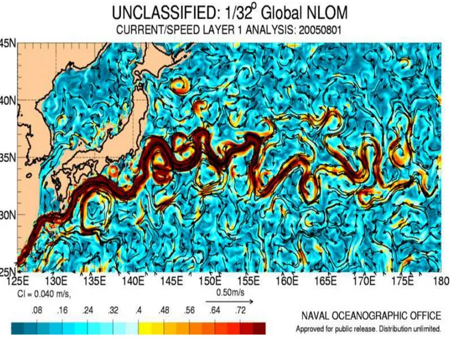 Figura 1.1: Corrente di Kuroshio. Si notano con chiarezza i vortici lungo il flusso della corrente