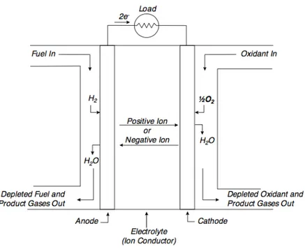 Fig. 1.5 Rappresentazione schematica di una cella a combustibile [25]  All’anodo  il  combustibile  (idrogeno)  viene  scisso  cataliticamente  a  dare  elettroni e ioni