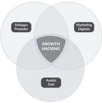 Figura 1 -Cos'è il Growth Hacking