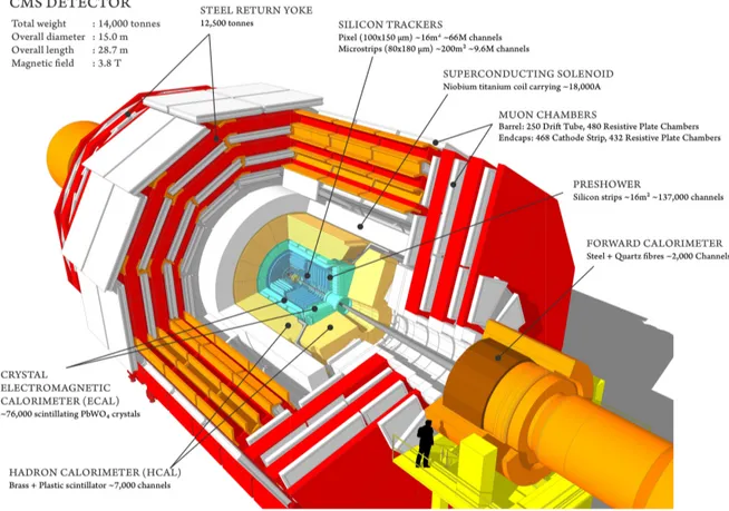 Figure 1.3: Overall view of the CMS detector.