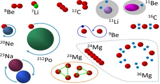 Figure 1.5: Variety of types of nuclear clustering from small clusters outside closed shells, to complete condensation into α-particles, to halo nucleons outside of normal core [ 4 ].