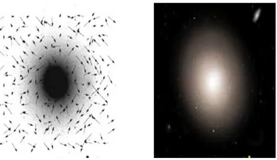 Figura 4: Le frecce mostrano le direzioni dei vettori delle velocità stellari. Non c'è un piano orbitale preferenziale.