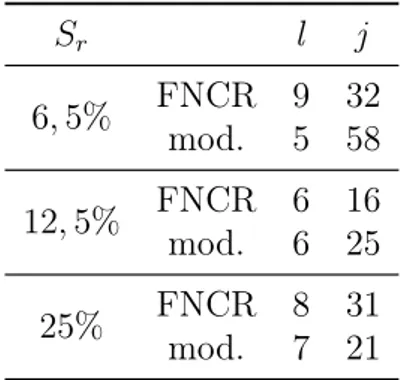 Tabella 3.4: Numero di iterazioni dei cicli (l), Continuation Scheme e (j) IRl1 compiuti dagli algoritmi FNCR e F N CR M nelle simulazioni i cui risultati sono riportati in tabella