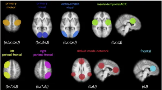 Figure 1.2: Different Resting State Networks found in literature and summa- summa-rized by Van Den Heuvel et colleagues, 2010 [4]