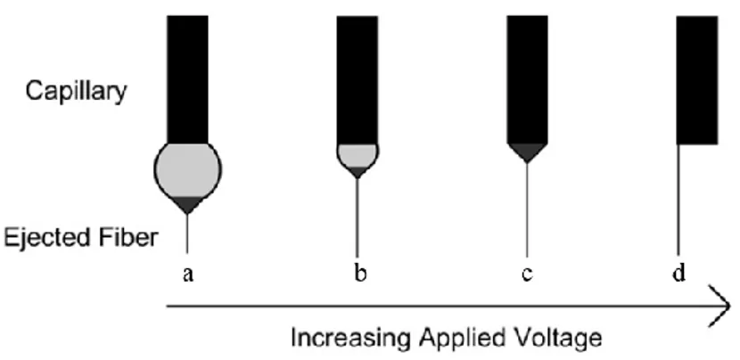 Fig. 6 Effect of the variation of the applied voltage on the formation of the Taylor cone [12]