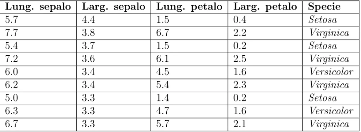 Tabella 2.1: Esempio di dati in ingresso con le caratteristiche di diversi fiori.