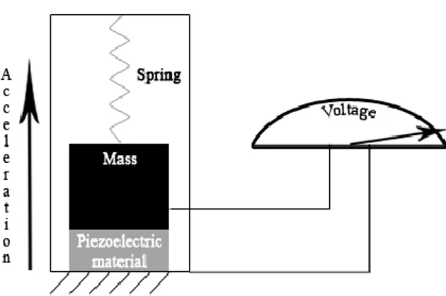 Figura 1.5: Principio di funzionamento accelerometro piezoelettrico 