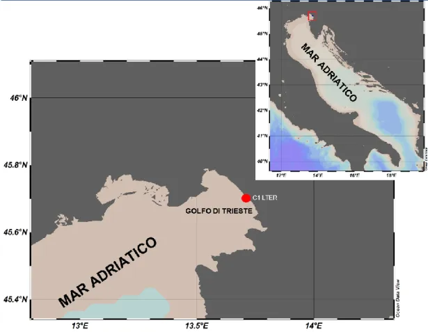 Figura 7. Mappa dell’area di studio nel Nord adriatico, con la posizione della stazione  C1-LTER nel Golfo di Trieste