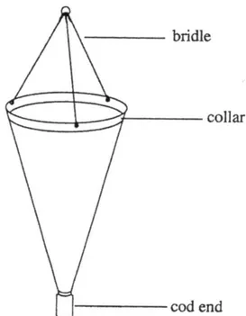 Figura 8. Retino per fitoplancton. 