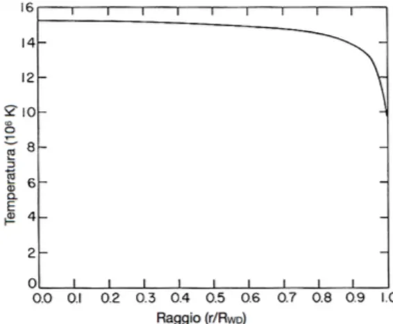 Figura 2.3: Andamento della temperatura in funzione del raggio per una nana bianca.