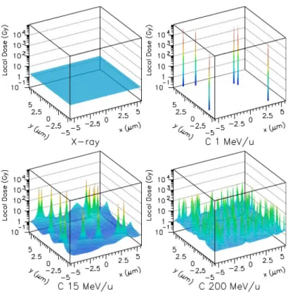 Figure 1.17: Microscopical dose distribution for different radiations. The average dose is 2 Gy.