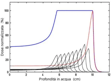 Figure 1.22: Dose profile as a function of depth for a proton mono-energetic beam (red line)