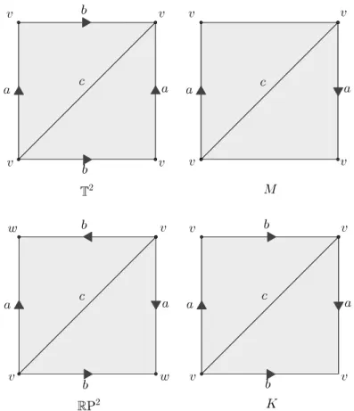 Figura 2.2: I gluing diagram del toro T 2 , del nastro di M ¨obius M, del piano proiettivo RP 2 e della bottiglia di Klein K.