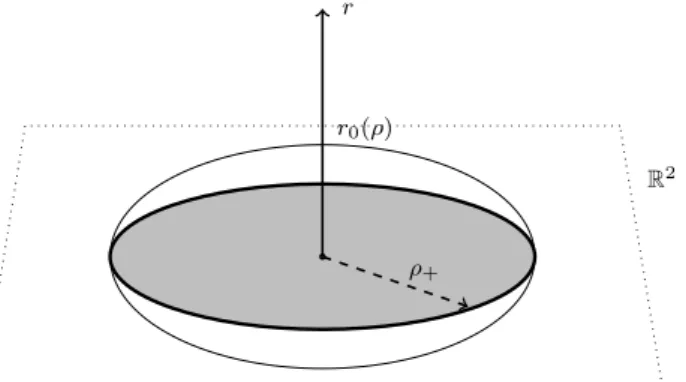 Figure 3.1: We show here a cartoon of the black disc setup, considering a space D − 1 dimensional slice at t = const