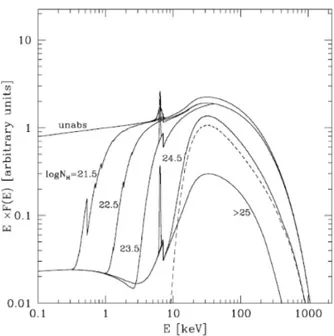 Figura 1.7: SED di AGN oscurati in banda X. Si vede chiaramente come l’aumentare della densità di colonna sopprima fortemente la radiazione per energie inferiori a 10 keV e come la riga e la edge del ferro a 6.4 keV e 7.1 keV diventino più prominenti