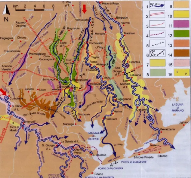 Figura 8- Direttrici  del fiume  Tagliamento  (da Frassine et al 2013) 