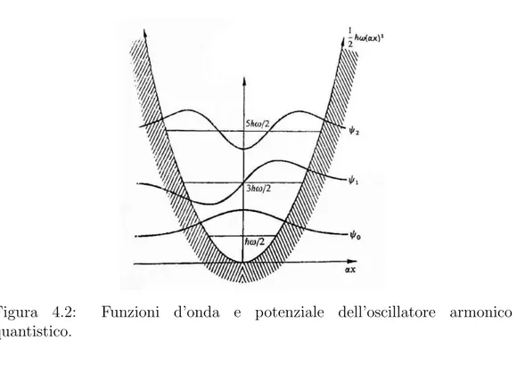 Figura 4.2: Funzioni d’onda e potenziale dell’oscillatore armonico quantistico.