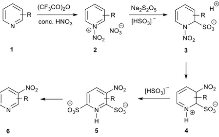 Figura 10 Meccanismo della nitrazione secondo Bakke 
