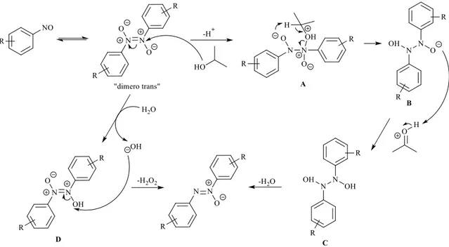 Figura 3 Meccanismo di dimerizzazione riduttiva del nitrosobenzene per formare l’azossibenzene 
