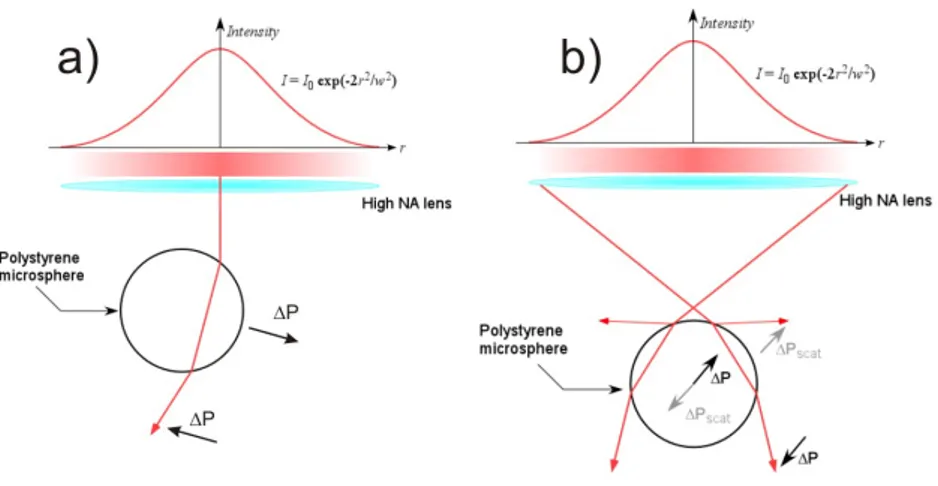 Figure 1.2: Principles of optical trapping in ray optics regime for particles with size parameter x  1