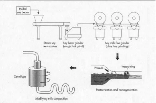 Figura 4: processo produttivo della bevanda vegetale a base soia. 